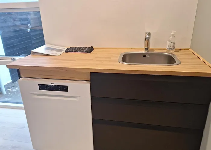 Garden Apartamento Odense